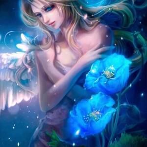 Meet your Posher, Amelia